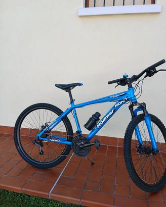 Mountain bike 26