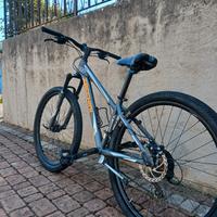 bicicletta mountain bike zecchini