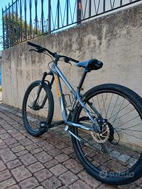 bicicletta mountain bike zecchini