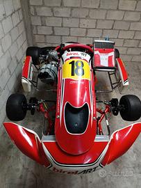 kart birel art tm kz10c