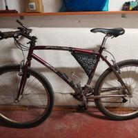 Bici Mountain bike Atala Shine Eagle serie lim.