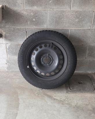 cerchioni auto