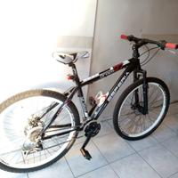 Coppia di mountain bike