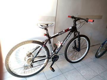 Coppia di mountain bike