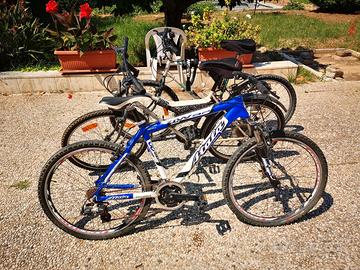 Biciclette Mountain Bike