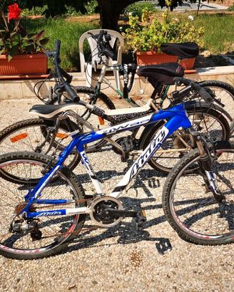 Biciclette Mountain Bike