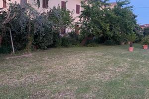 Fabbricato con terreno