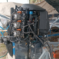 Etec evinrude