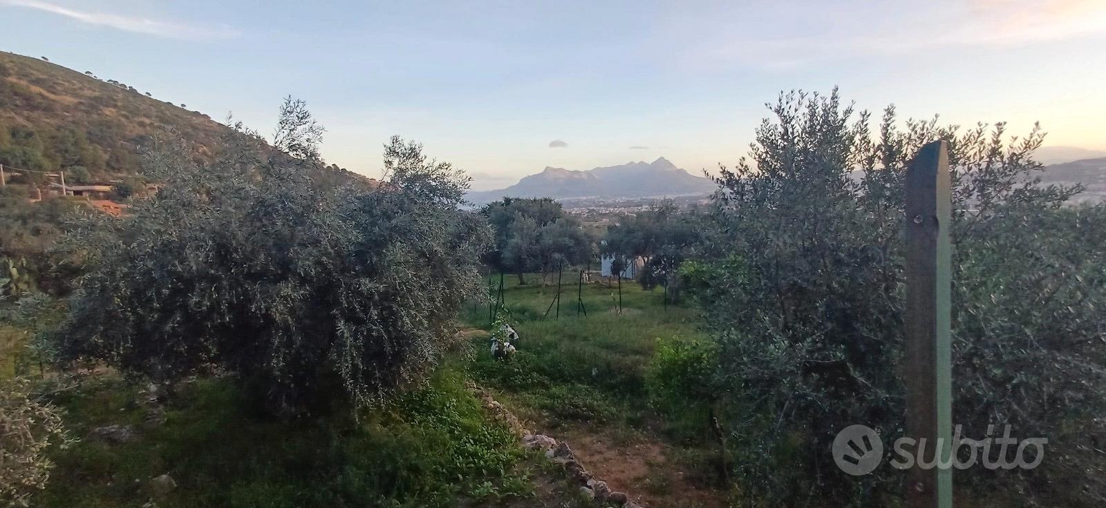 Terreno agricolo con casa rurale Ter/37 - Altro