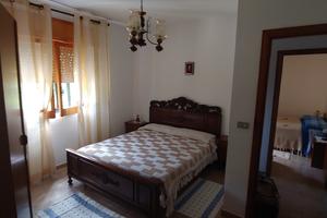 Casa singola + annessi