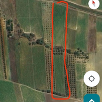 Terreno agricolo contrada granatello (porcospino)