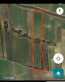 Terreno agricolo contrada granatello (porcospino)