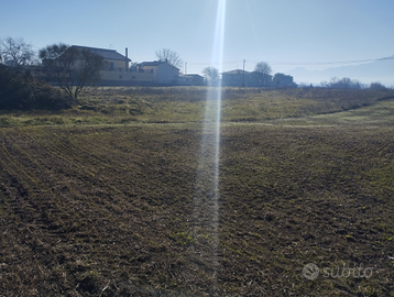 Terreno agricolo