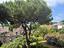 Immagine 16