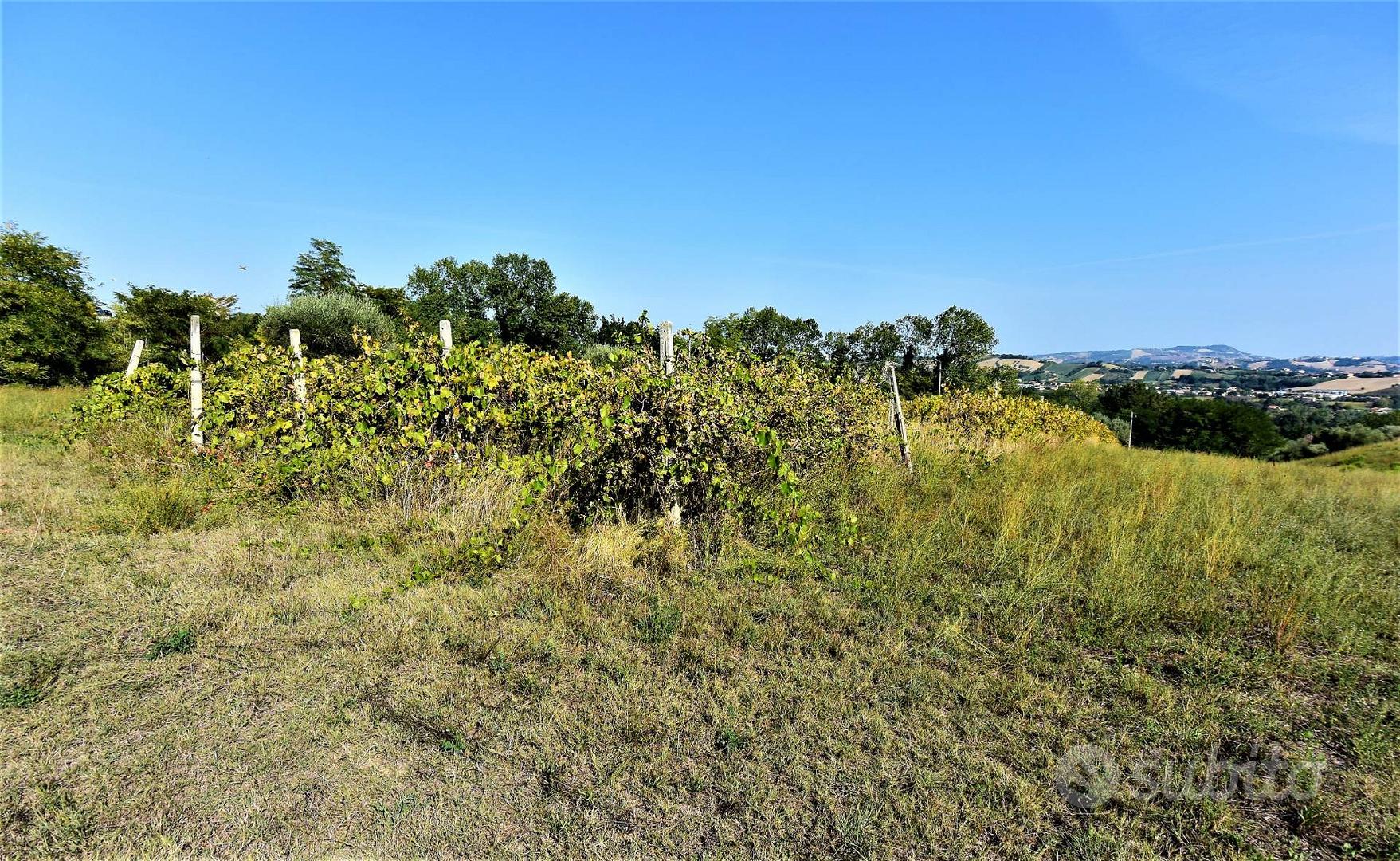 Casa Colonica con Terreno - Magliano di Tenna - Vista 4