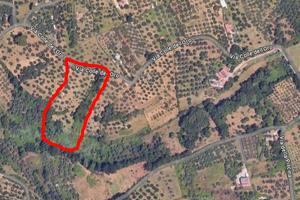 Terreno Agricolo a Guidonia Montecelio (RM)