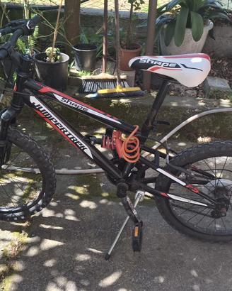 bici cerchio 20 