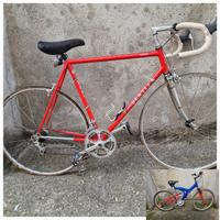 bicicletta