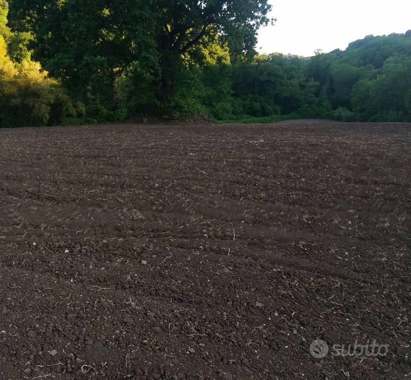 Terreno di 18120 m² a Tuscania - Altro