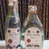 Mignon Bacardi