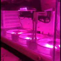 Staffa supporto scheda video Amd/Nvidia/Intel