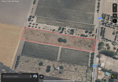 Terreno Talsano loc. Carduccia