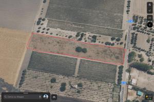 Terreno Talsano loc. Carduccia