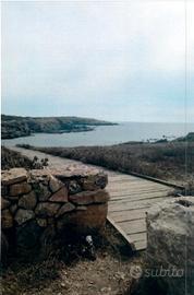 TERRENO in Sardegna,