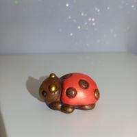 Coccinella Thun