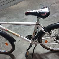 Mountain bike cambio shimano