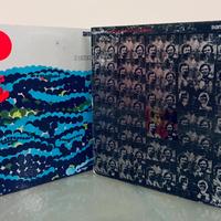 Coppia di LP di Santo & Johnny