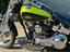 Immagine 6