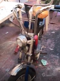 Mini Califfo Rizzato