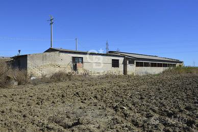 Locale commerciale - Catania