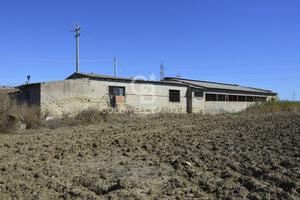 Locale commerciale - Catania