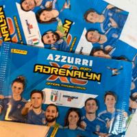 Figurine Panini per Esselunga edizione collection