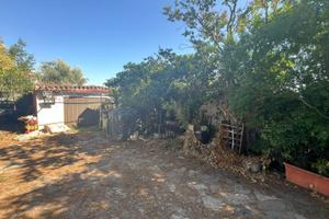 Terreno NUOVA FLORIDA Ardea