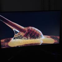 BenQ Monitor Gaming 27 pollici IPS