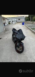 Honda cbr 600 rr