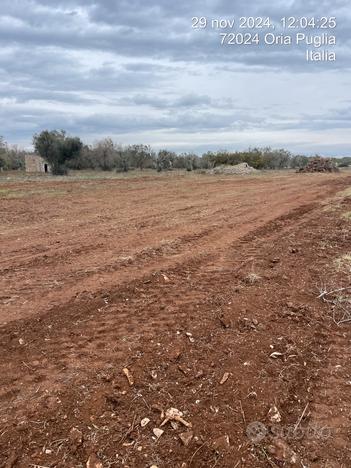 Terreno seminativo C.da Paglione - Manduria-Oria