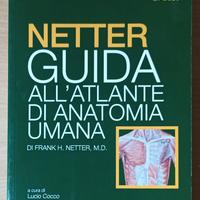Guida all'Atlante di Anatomia Umana Frank Netter 