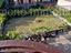 Immagine 17