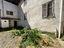 Immagine 12