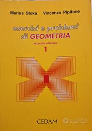 Esercizi e problemi di geometria