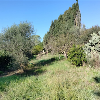 Terreno con casa