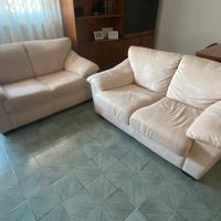 Divani