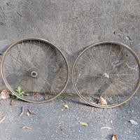 Cerchi Ambrosio Syntehesis con mozzi Campagnolo