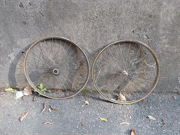 Cerchi Ambrosio Syntehesis con mozzi Campagnolo