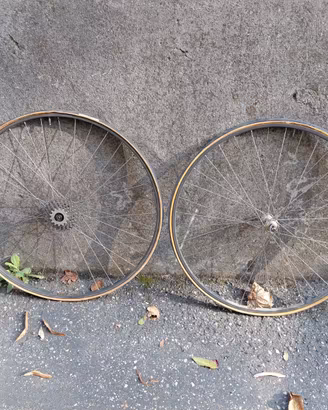 Cerchi Ambrosio Syntehesis con mozzi Campagnolo