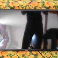 TV 32 pollici led funzionante con schermo rotto